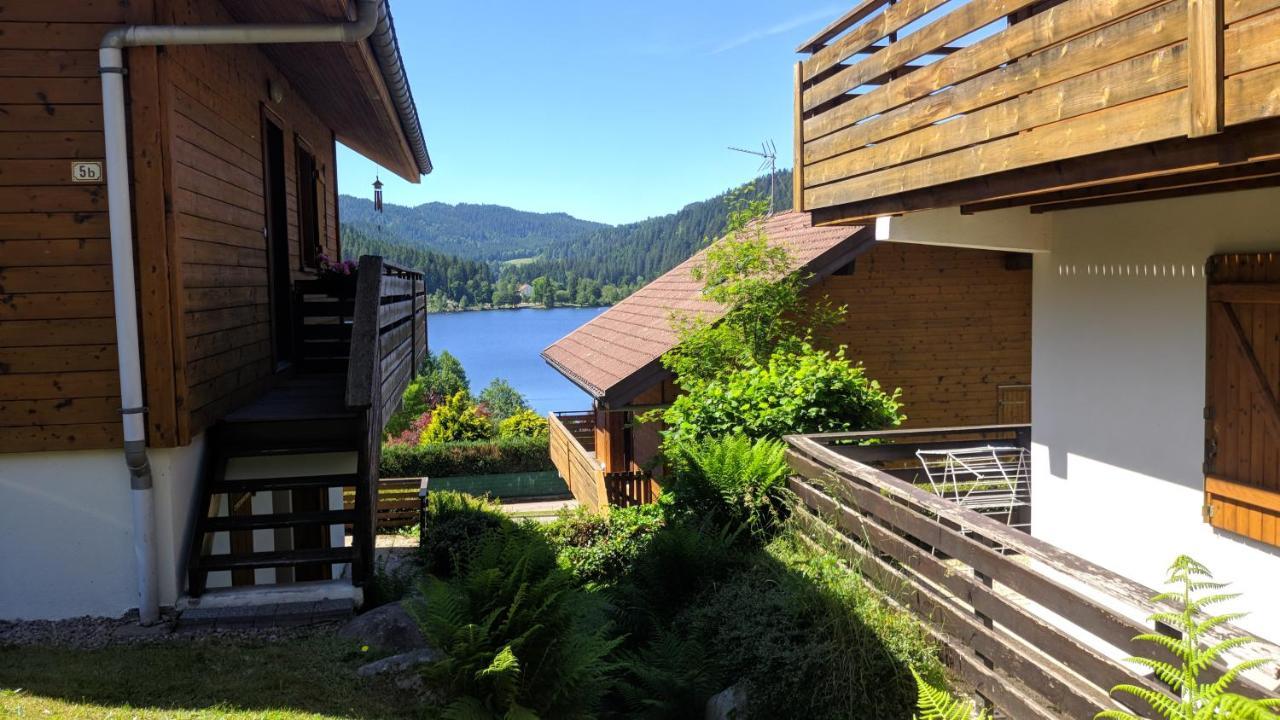 Chalet Vosgien Жерарме Экстерьер фото
